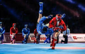 Stage de sambo à partir de 12 ans