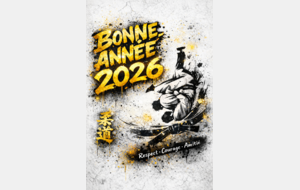 🎉🥋 Bonne année à toute la grande famille du Toulouse Pradettes/Longages! 🥋🎉