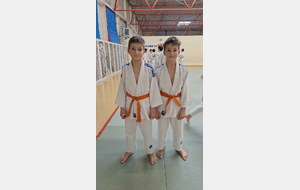 Coupe départementale benjamins n° 1