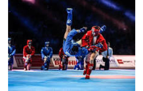 Stage de sambo à partir de 12 ans 